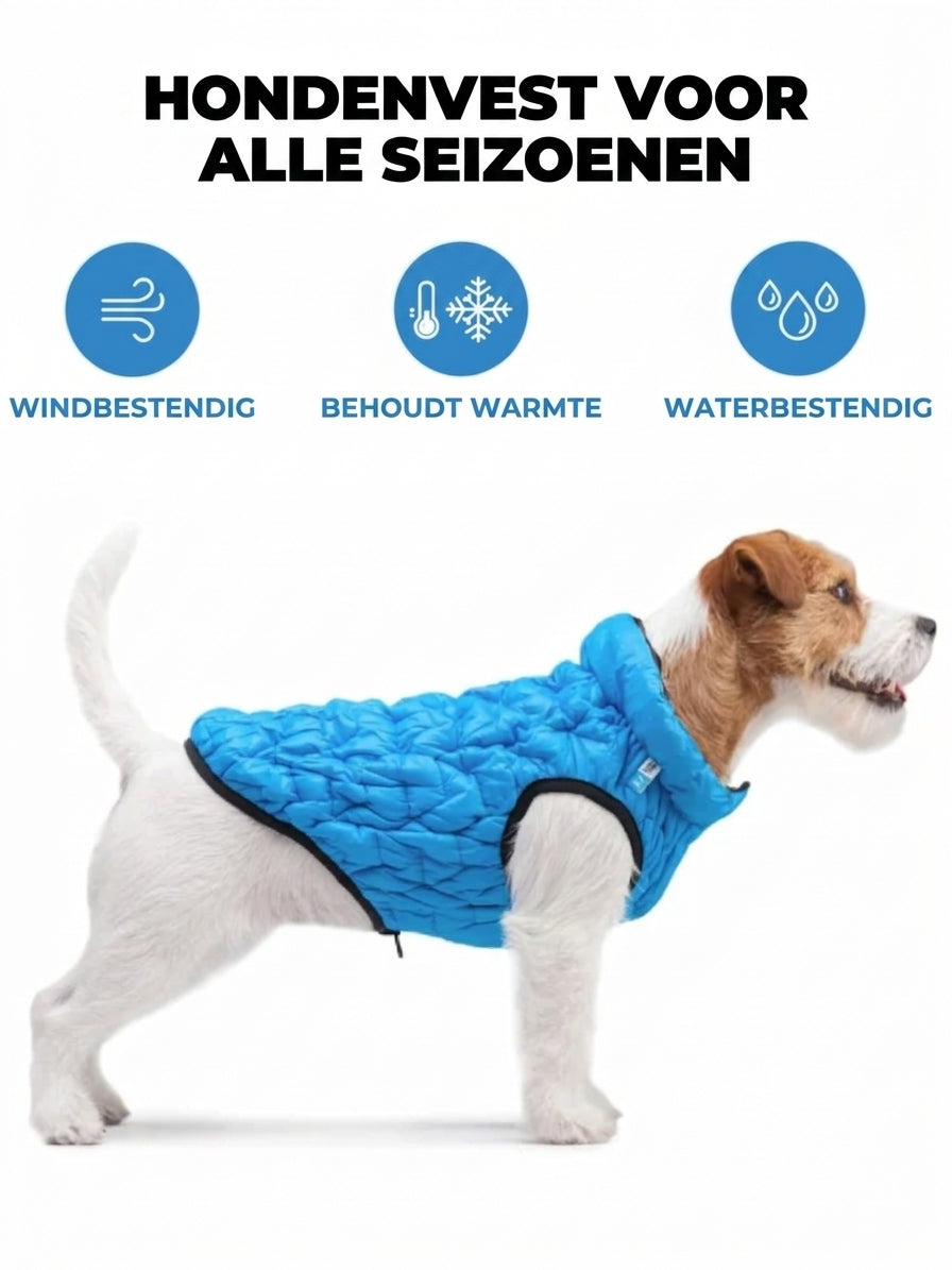Hondenjas Brezza blauw – voor alle seizoenen