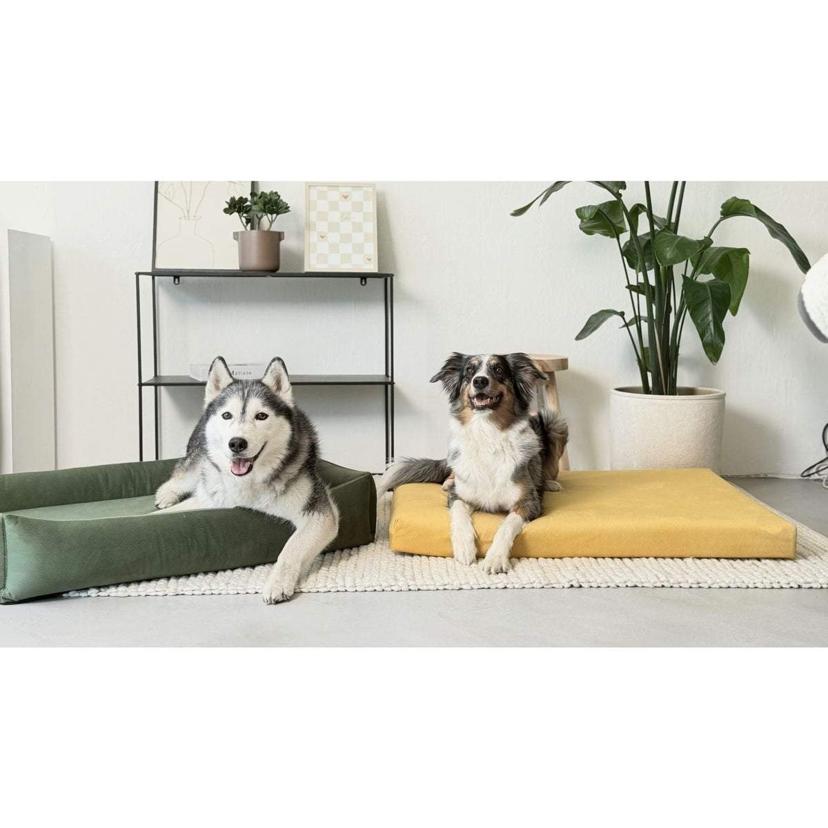 Hypoallergene hondenmand Nuvola in beige met Franse bulldog