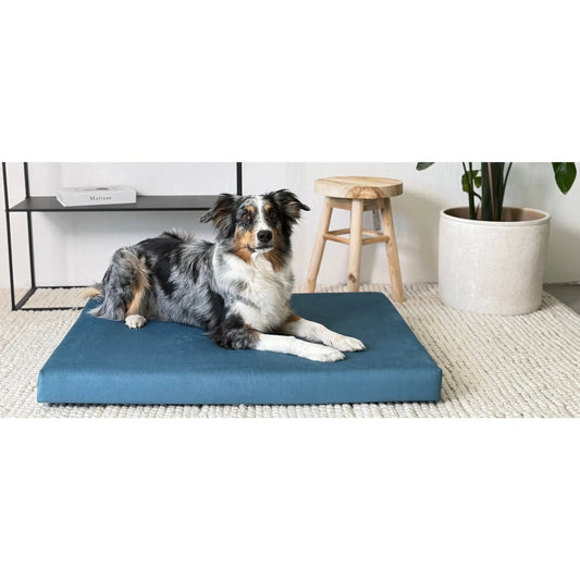 Orthopedisch hondenmatras Riposo in petrolblauw voor Australische Herder