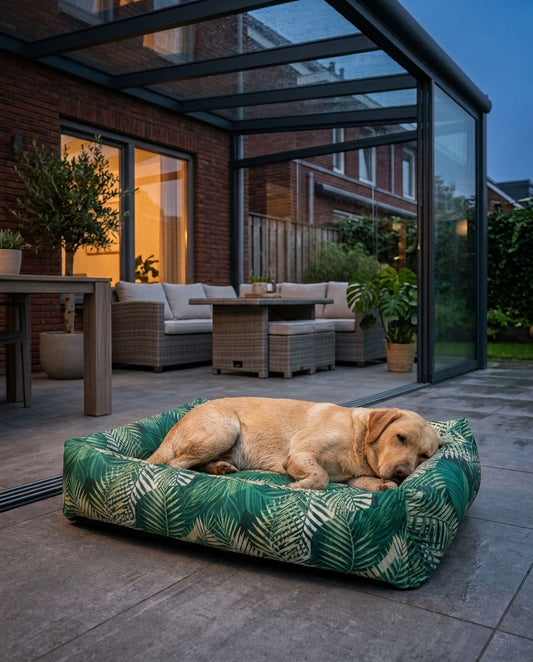 Waterafstotende Hondenmand Aqua