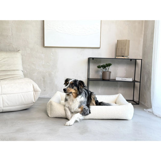 Fluffy hondenmand Soffice in de woonkamer met australische herder — zacht en stijlvol