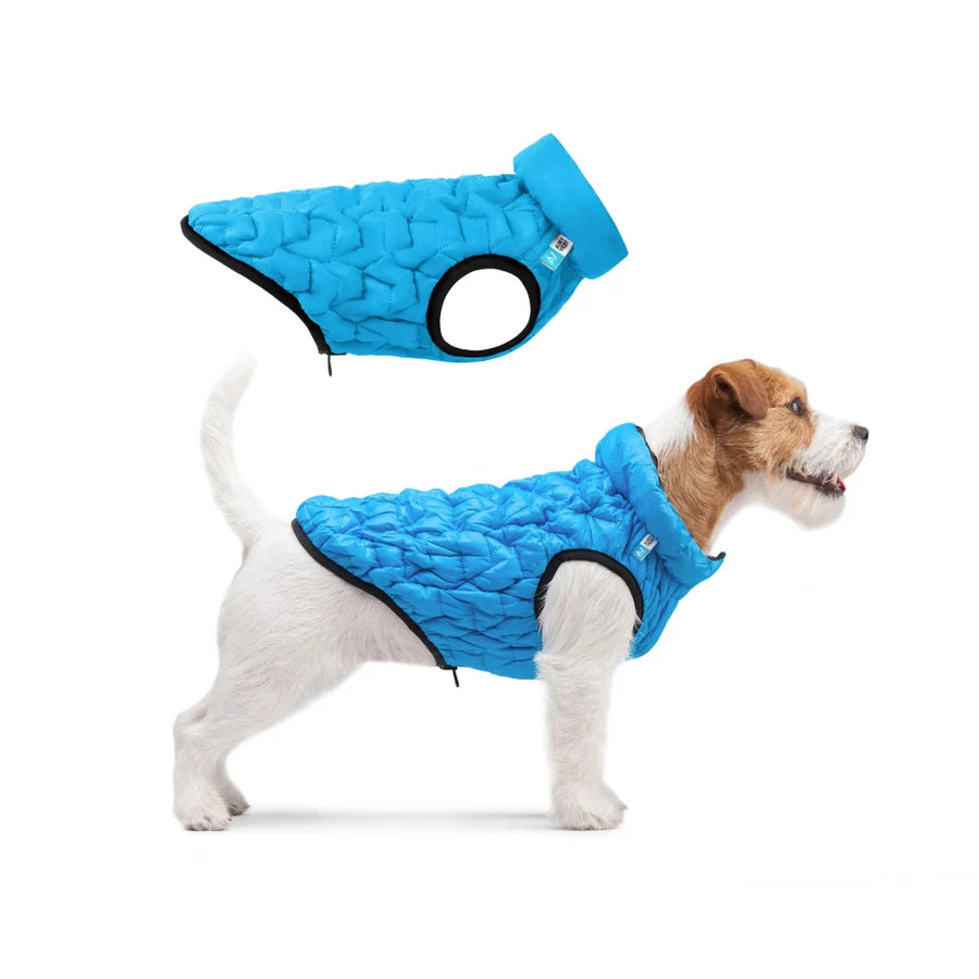 Kleine hond in blauwe hondenjas Brezza