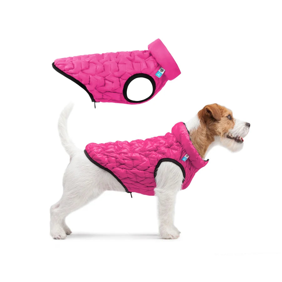 Kleine hond in roze hondenjas Brezza