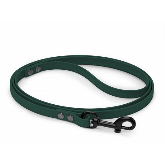 Groene BioThane hondenriem 13 mm voor kleine honden