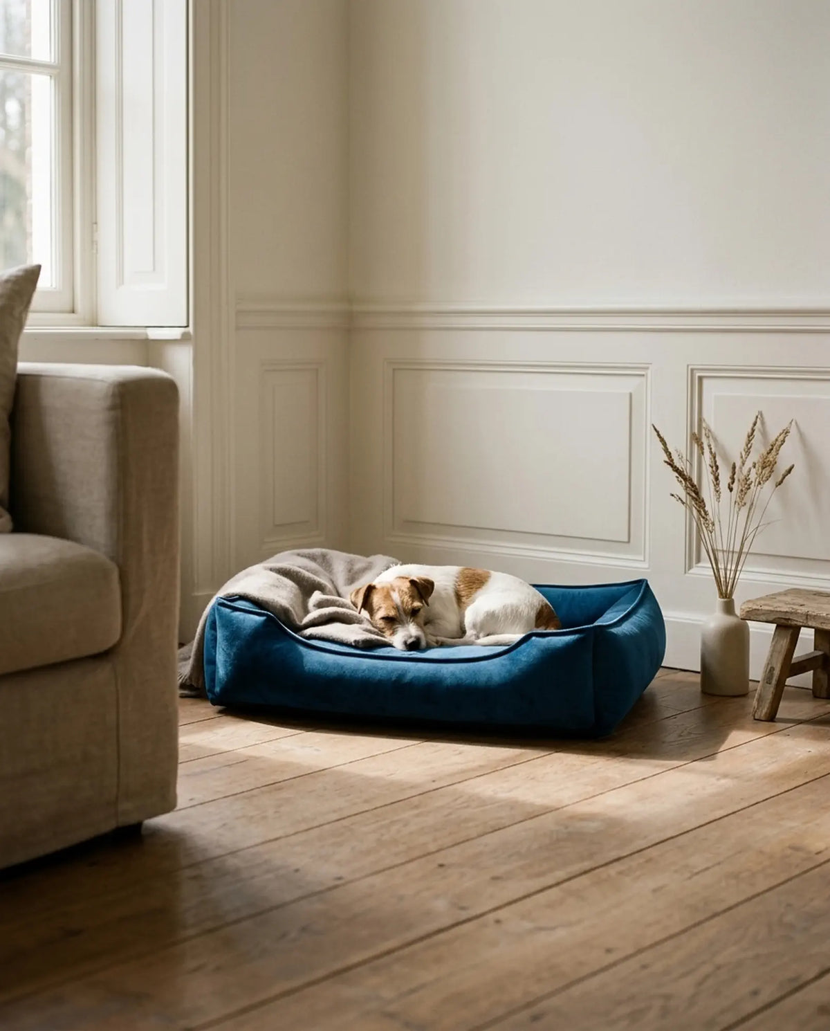 Panier hypoallergénique Nuvola bleu avec Jack Russell Terrier dans un salon lumineux