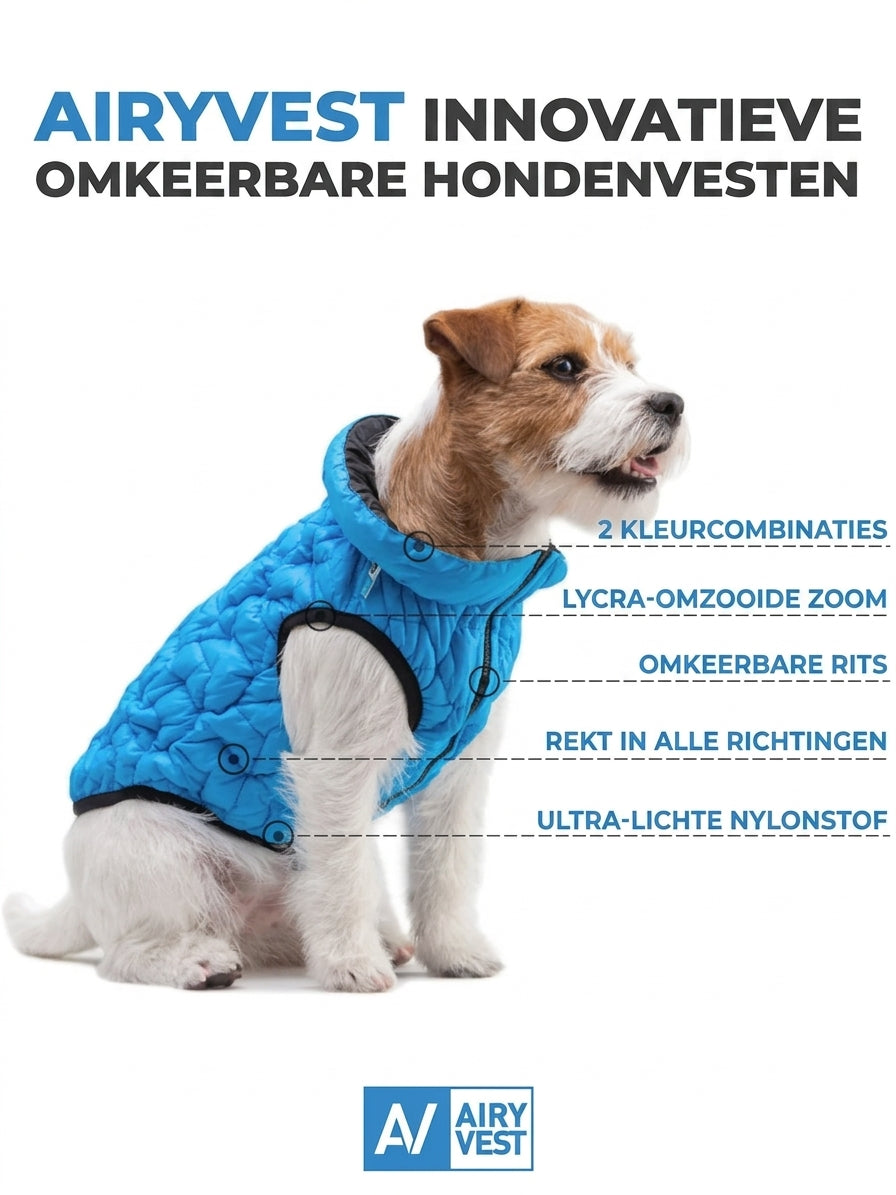 Omkeerbare hondenjas Brezza blauw – eigenschappen