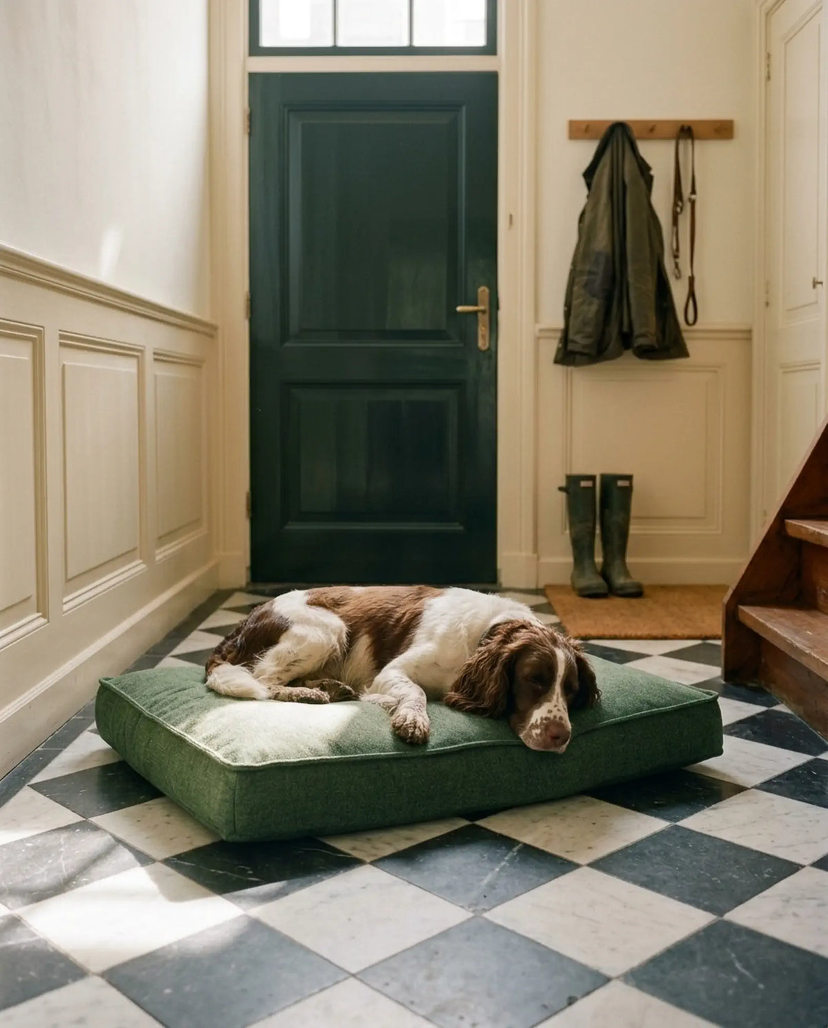 Engelse springer spaniel rust na de wandeling op het vlekbestendige hondenkussen Macchia in groen in de hal