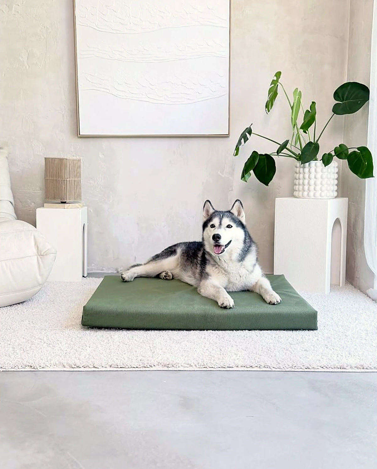 Siberische Husky ligt op het orthopedisch hondenmatras Riposo in groen in een lichte woonkamer