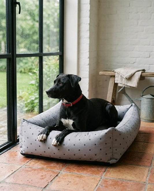 Zwarte labrador-mix ligt in de waterafstotende hondenmand Aqua in lichtgrijs bij de tuindeur op een regenachtige dag